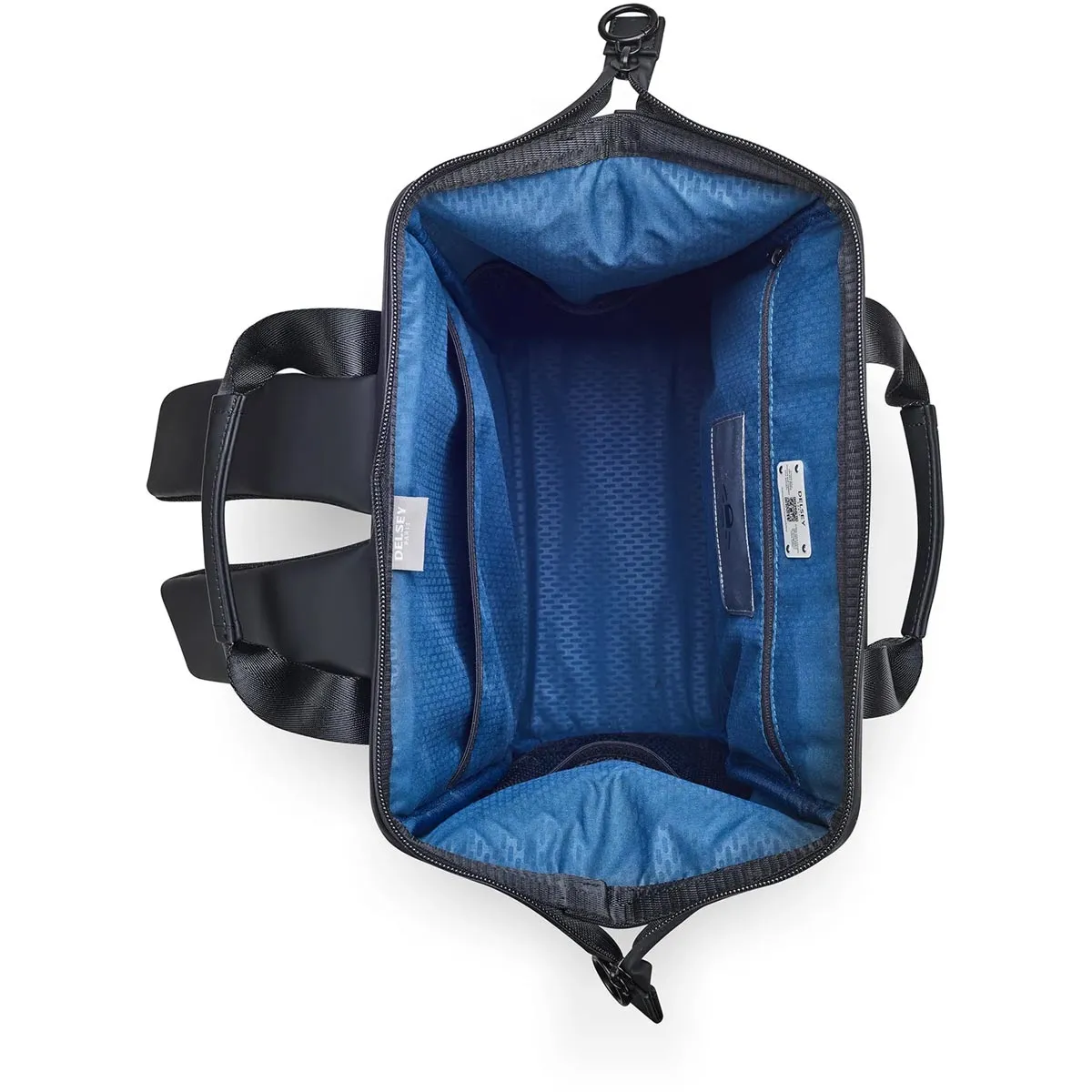 Delsey Turenne Backpack