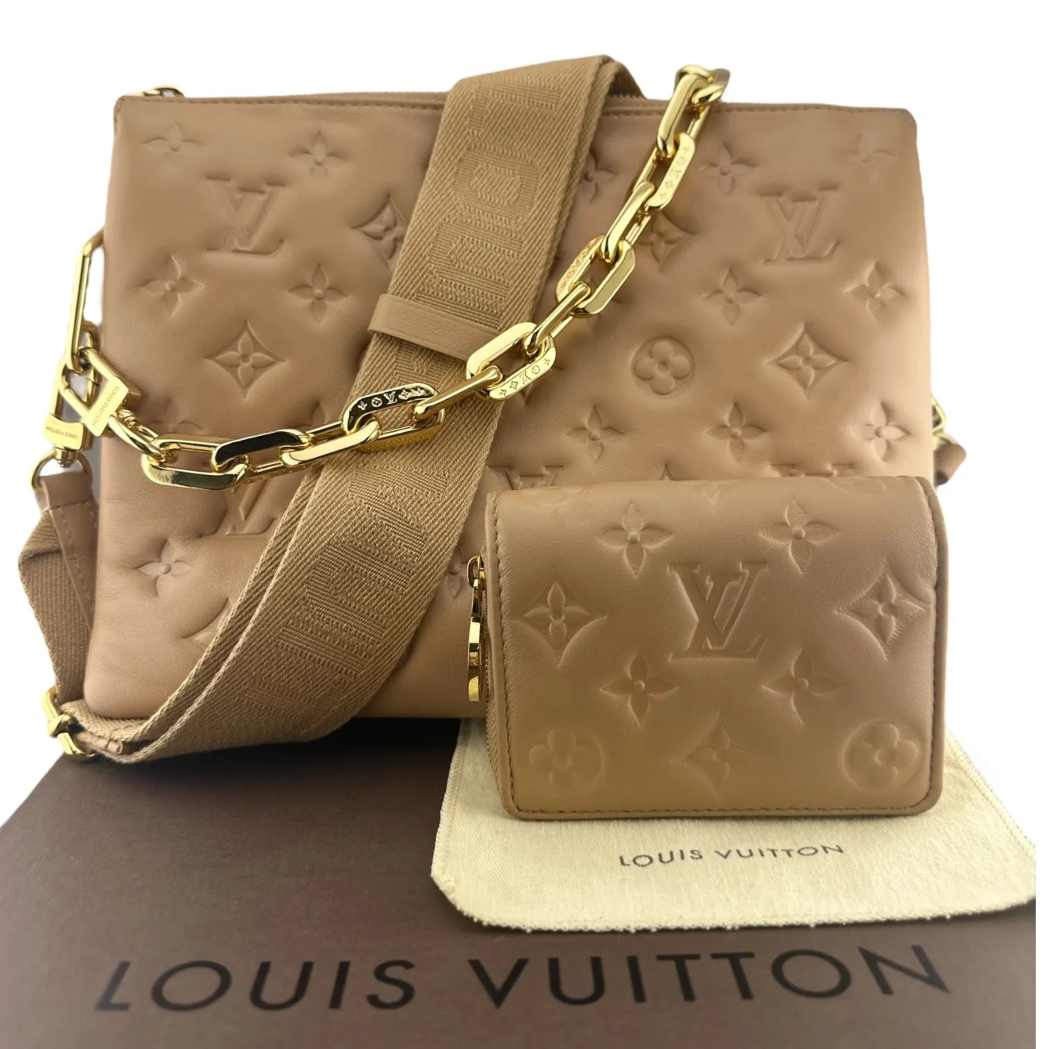 LOUIS VUITTON Coussin PM NWT