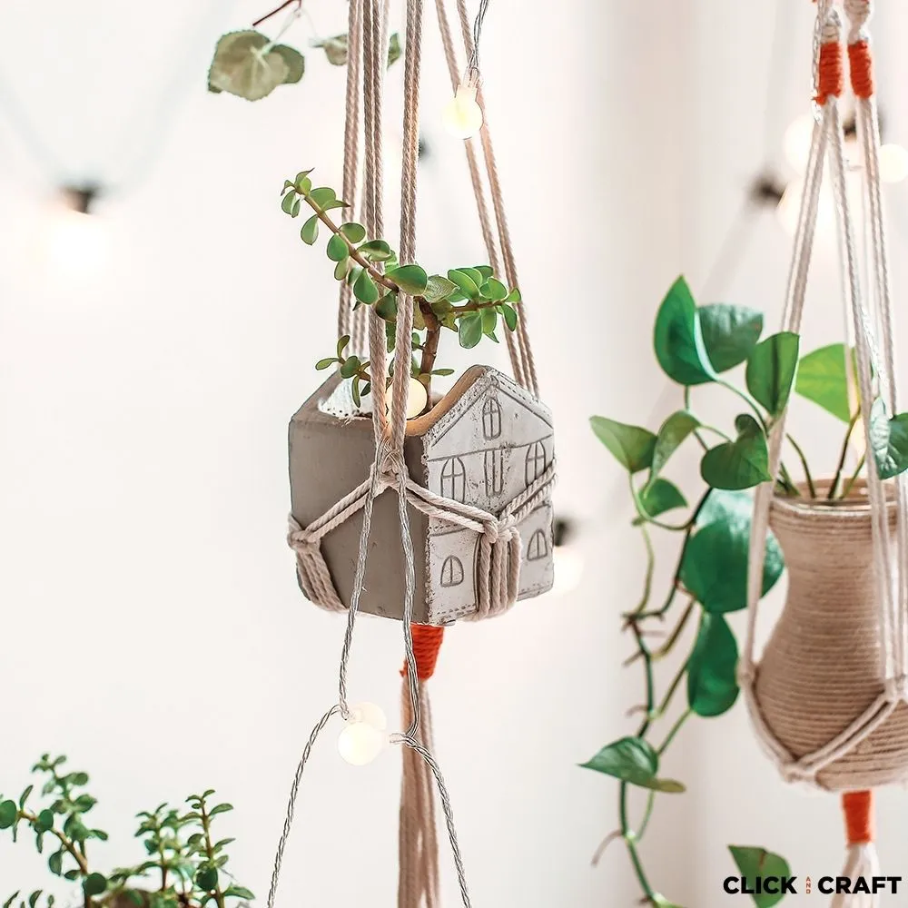 Medium Plant Hanger 5