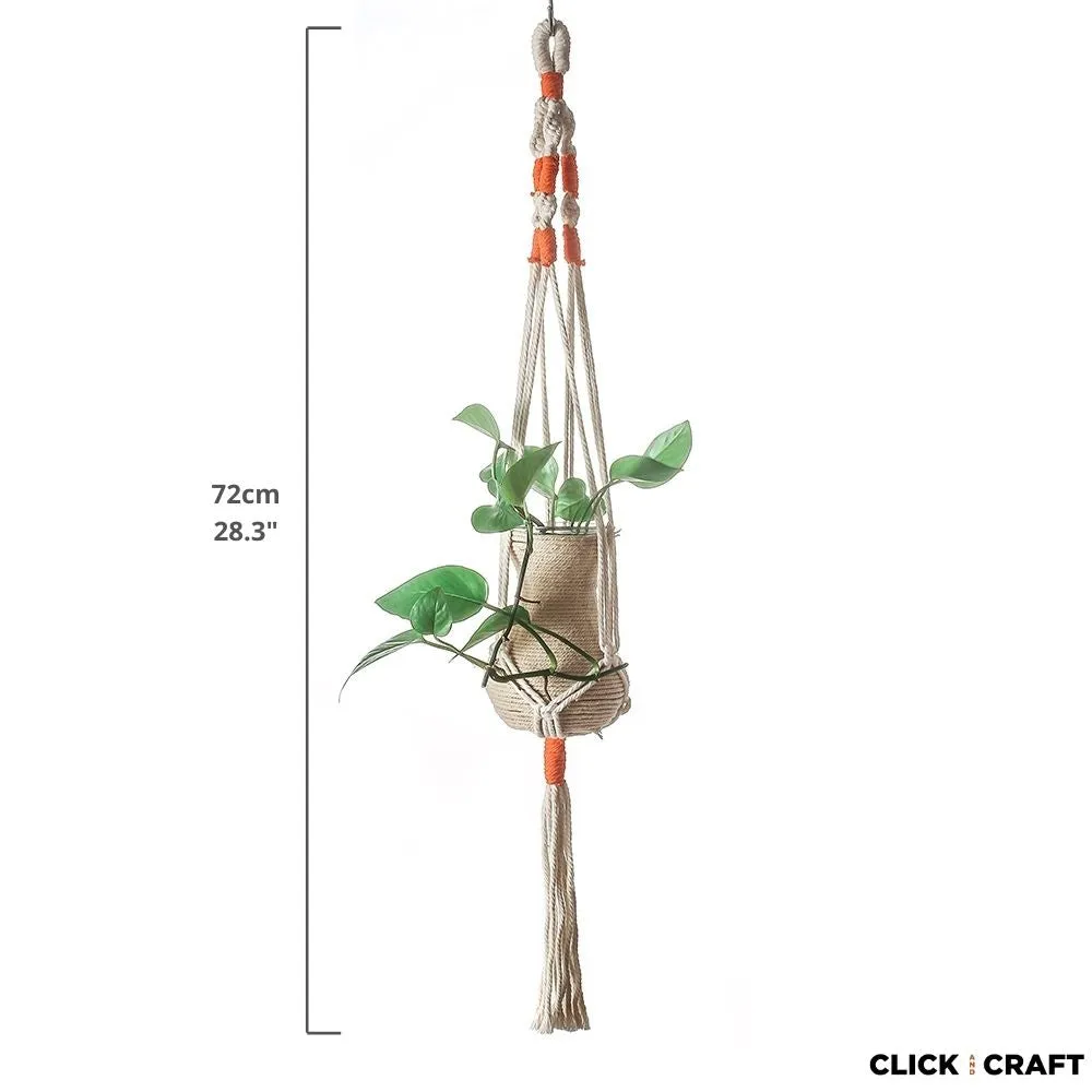 Medium Plant Hanger 5