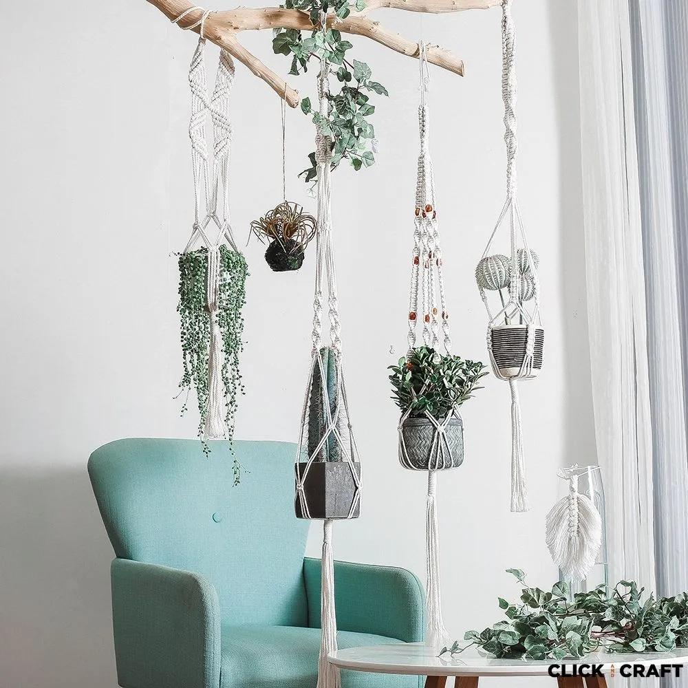 Medium Plant Hanger